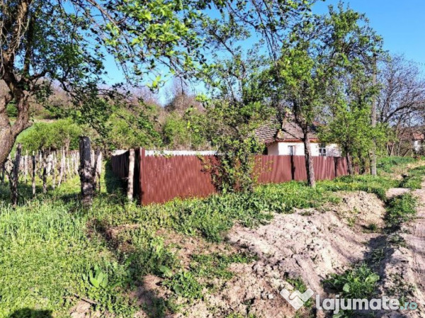 Casa si teren-com. Licurici, loc. Negreni, jud Gorj 