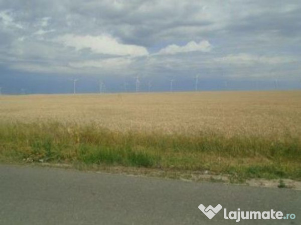 Teren Extravilan Corni, Cota parte 1/2, ID: R2581783 