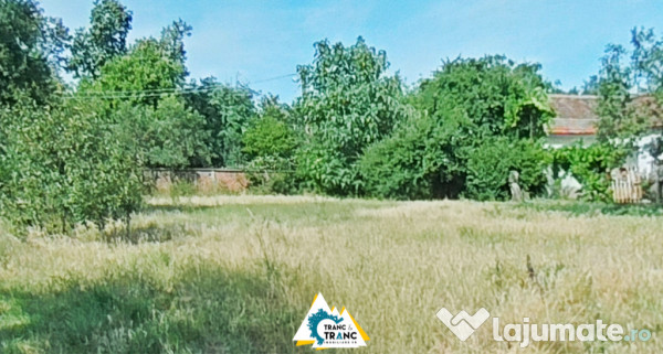 Casă spațioasă cu 4 camere de vânzare – Comuna Aluniș, județul Arad