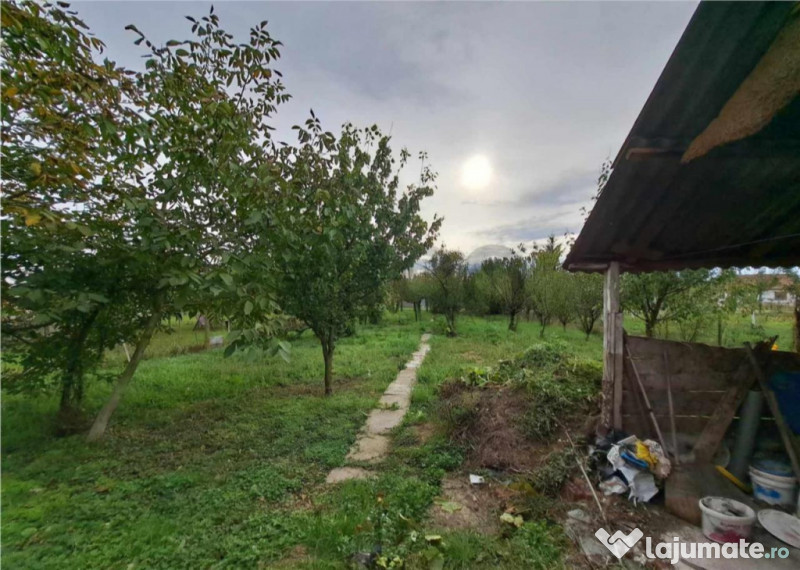 RECO Casa Salonta Fuveskert 