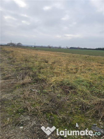 RECO Teren pentru loc de casa cu PUZ Osorhei-Fughiu