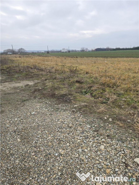 RECO Teren pentru loc de casa cu PUZ Osorhei-Fughiu