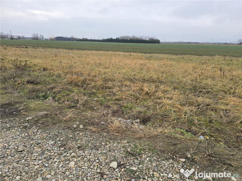 RECO Teren pentru loc de casa cu PUZ Osorhei-Fughiu