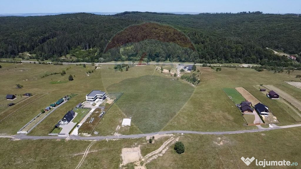 Teren 3,757mp Paltinoasa / Strada principala