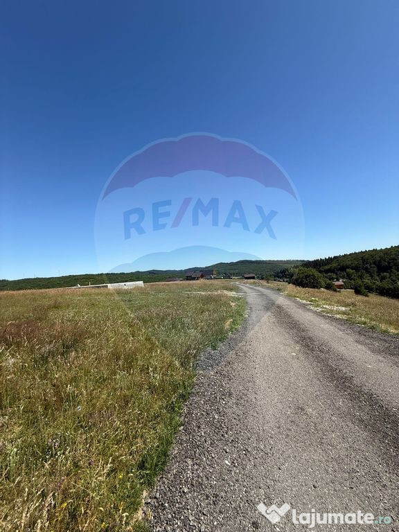 Teren 3,757mp Paltinoasa / Strada principala