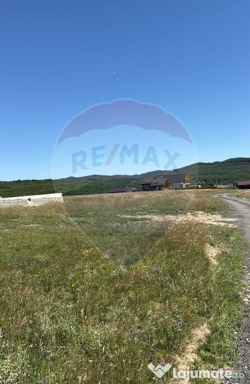 Teren 3,757mp Paltinoasa / Strada principala