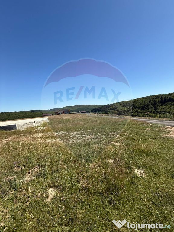 Teren 3,757mp Paltinoasa / Strada principala