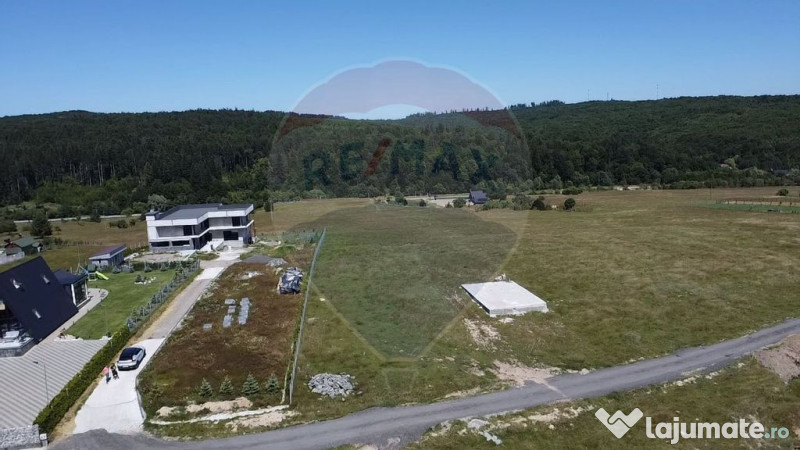 Teren 3,757mp Paltinoasa / Strada principala