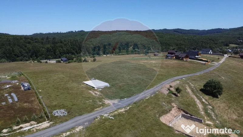 Teren 3,757mp Paltinoasa / Strada principala