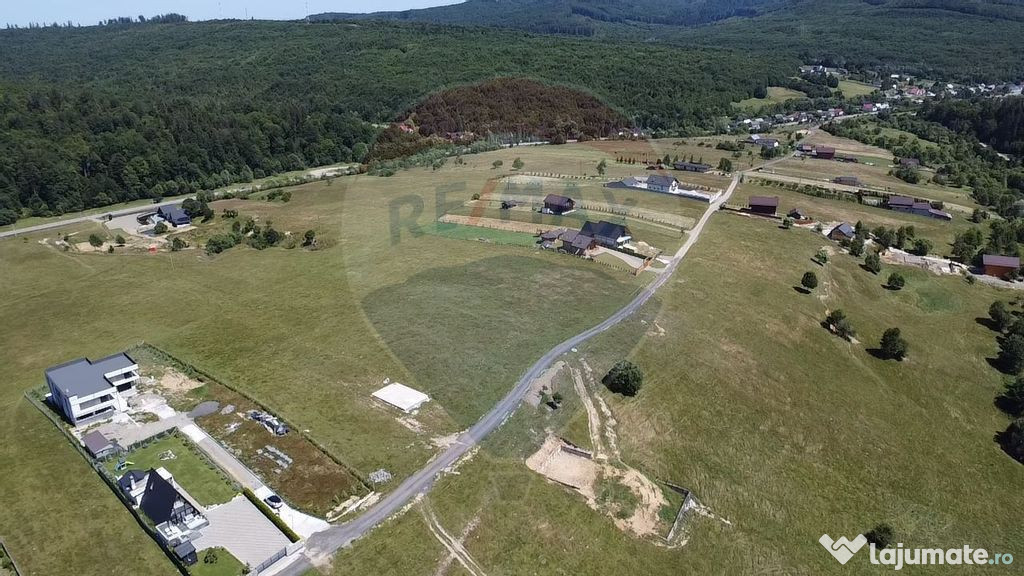Teren 3,757mp Paltinoasa / Strada principala
