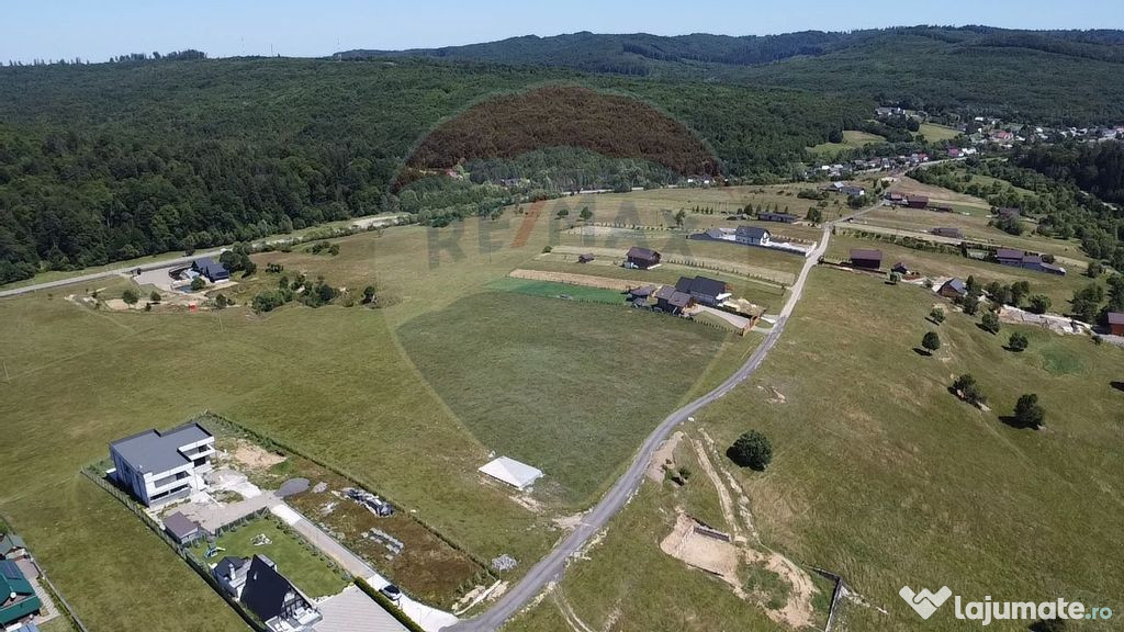 Teren 3,757mp Paltinoasa / Strada principala