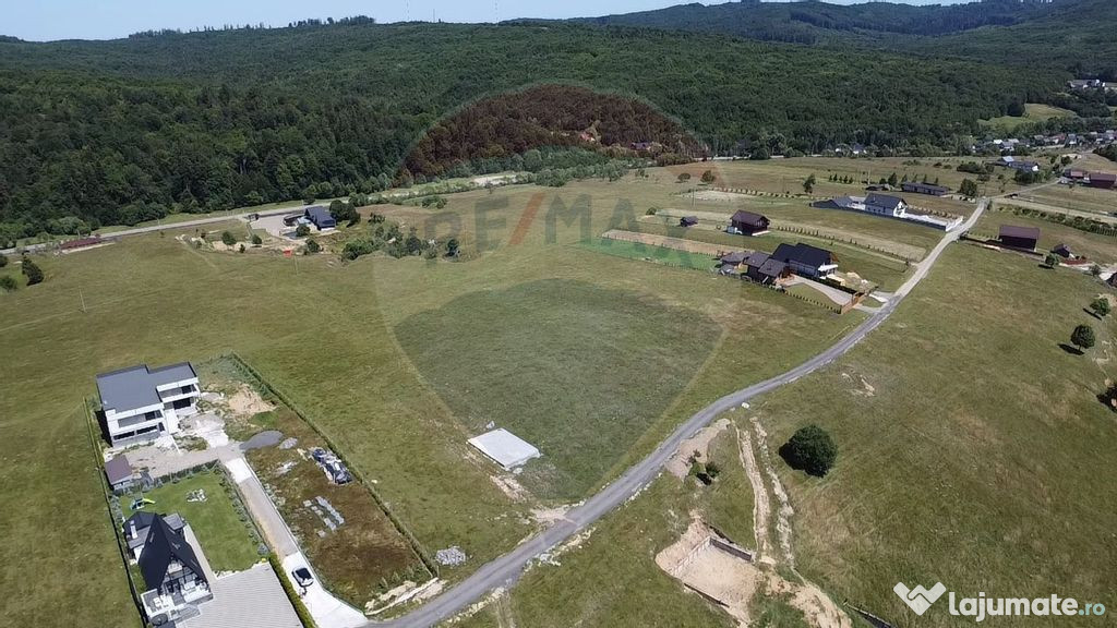 Teren 3,757mp Paltinoasa / Strada principala