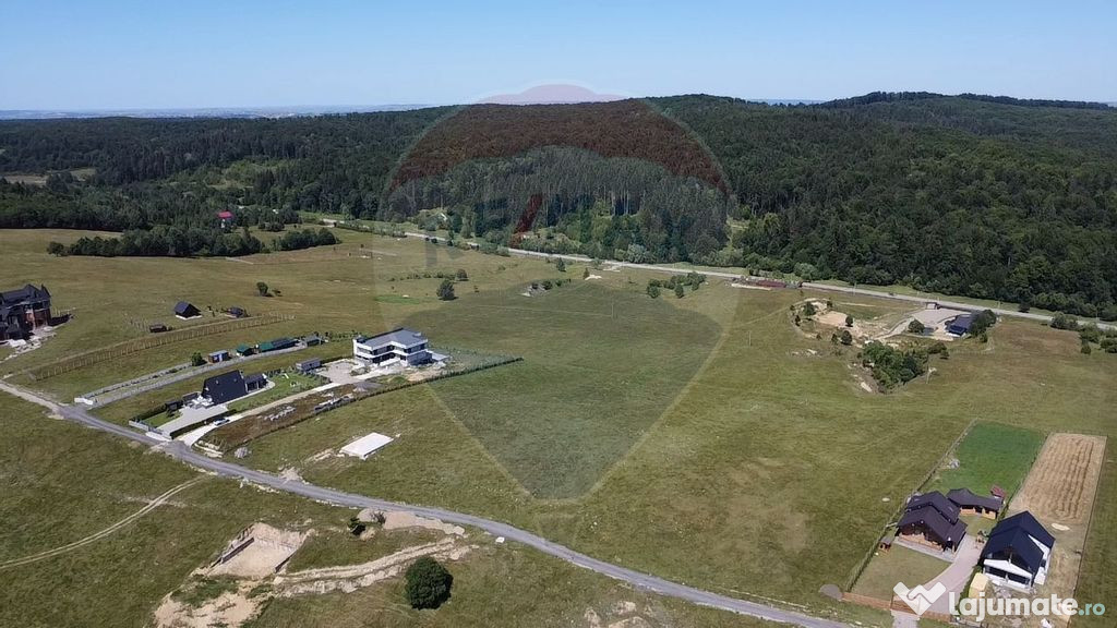 Teren 3,757mp Paltinoasa / Strada principala