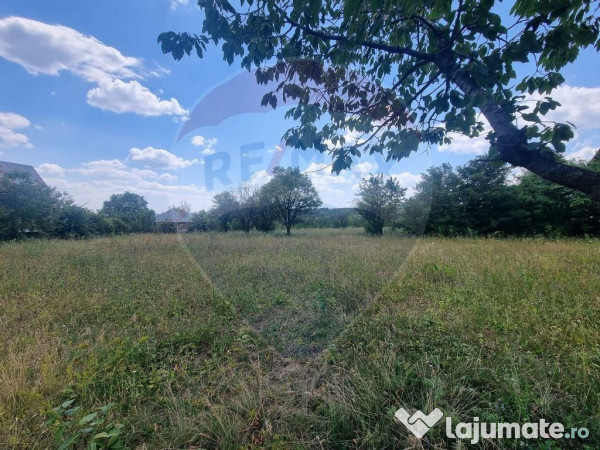 Teren intravilan 11.500 mp – Strada Cismari Vălenii ... 