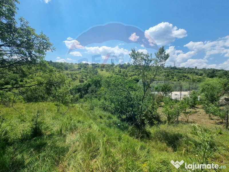 Teren intravilan 11.500 mp – Strada Cismari Vălenii ... 