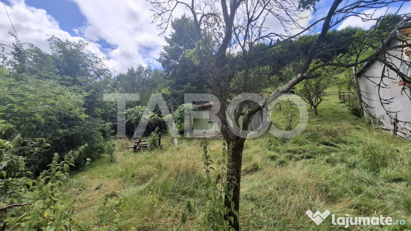 Teren 2500 mp Curmatura Rasinari 40 m deschidere la drum asf 