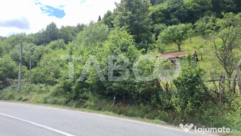 Teren 2500 mp Curmatura Rasinari 40 m deschidere la drum asf 