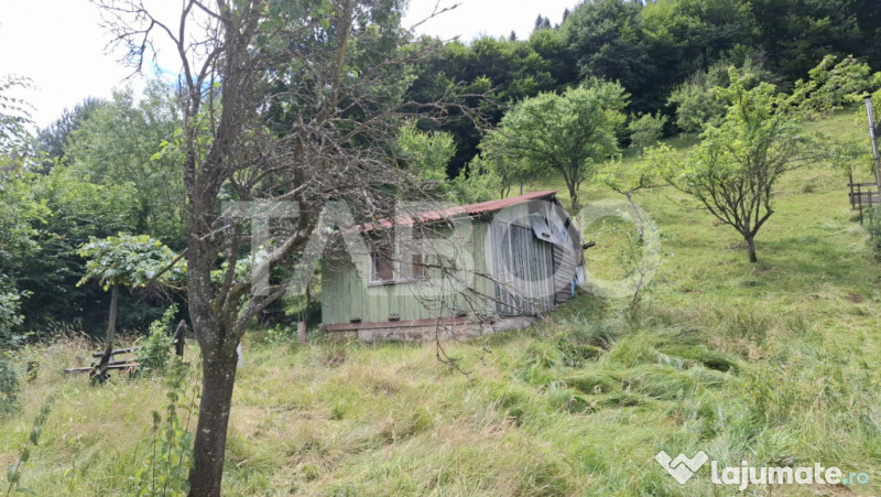 Teren 2500 mp Curmatura Rasinari 40 m deschidere la drum asf 