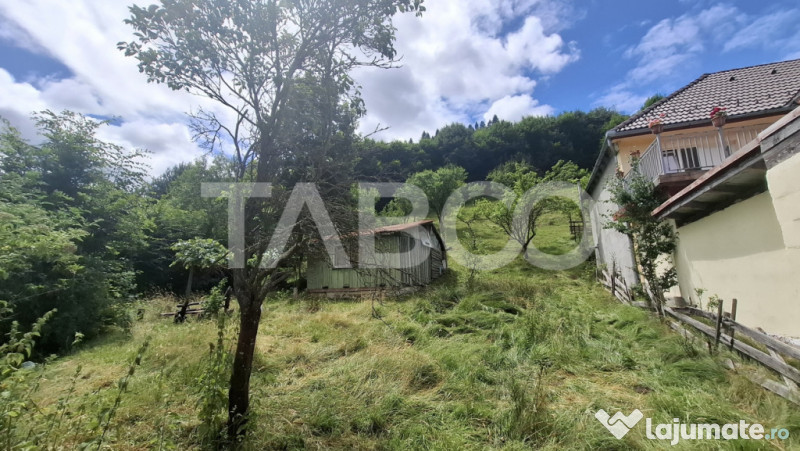 Teren 2500 mp Curmatura Rasinari 40 m deschidere la drum asf 