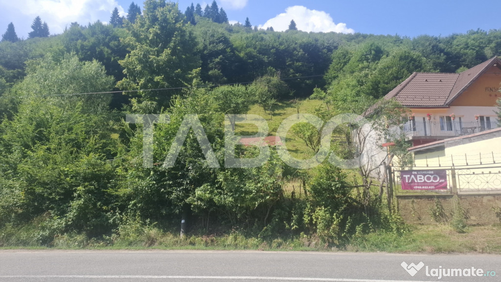 Teren 2500 mp Curmatura Rasinari 40 m deschidere la drum asf 