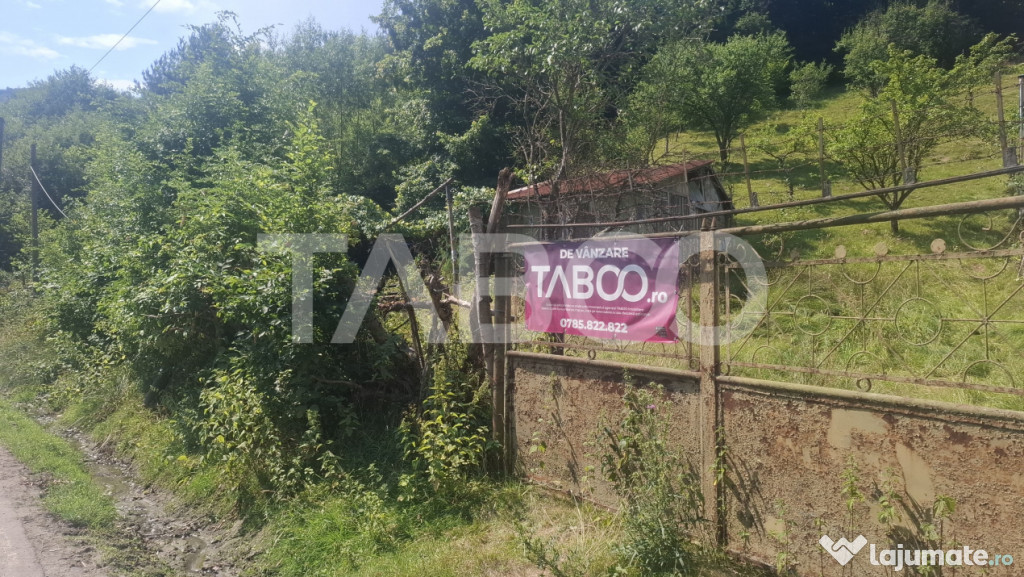 Teren 2500 mp Curmatura Rasinari 40 m deschidere la drum asf 