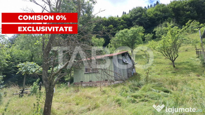 Teren 2500 mp Curmatura Rasinari 40 m deschidere la drum asf 