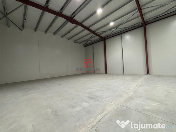 Depozit/hala/spatiu industrial Theodor Pallady - Drumul Int