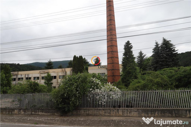 Oportunitate de investitie