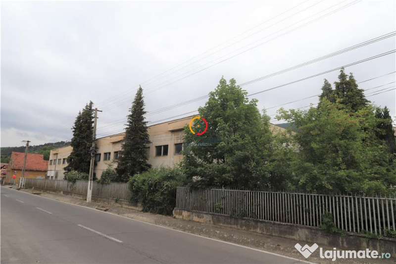 Oportunitate de investitie