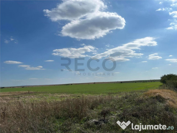 RECO Oportunitate teren 25000mp Santandrei 