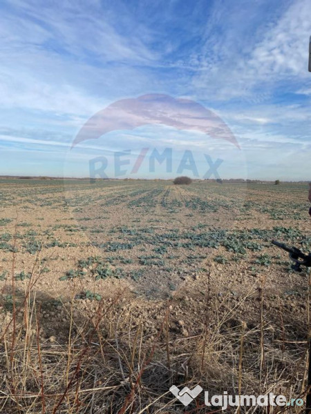 Teren de vanzare Joita-Ulmi DC147