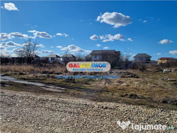 Teren 11000 mp pe strada Safirului din Bragadiru. 