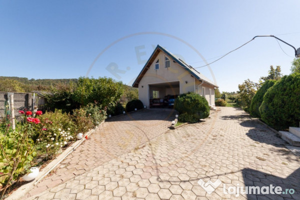 Casa visurilor cu livada roditoare si gradina amenajata Darm 