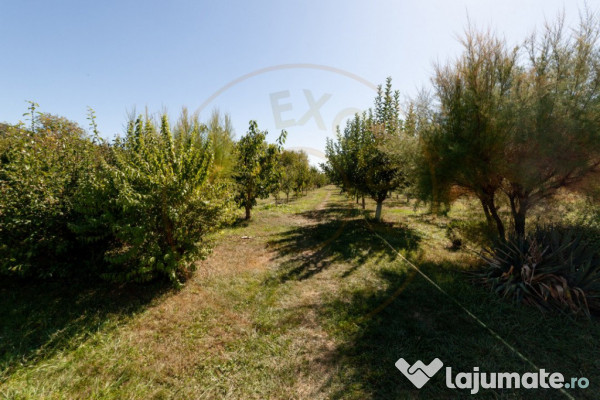 Casa visurilor cu livada roditoare si gradina amenajata Darm 