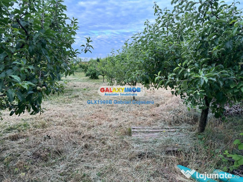 Teren de 754mp Corbeanca zona Laguna Albastra