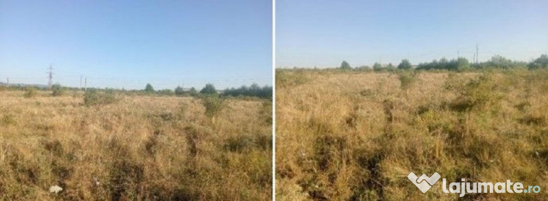 Targu Neamt, Punct Manesti, cota parte 1/2, ID: R2759107 