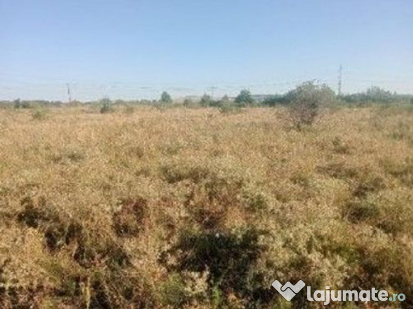 Targu Neamt, Punct Manesti, cota parte 1/2, ID: R2759107 