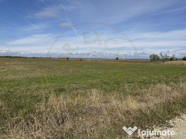 Teren intravilan 3700 mp la 28 km de Pitesti - zona linisti 