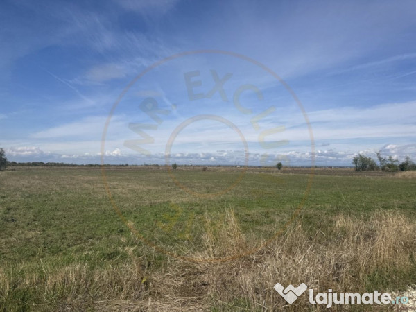 Teren intravilan 3700 mp la 28 km de Pitesti - zona linisti 