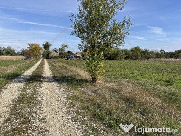 Teren intravilan 3700 mp la 28 km de Pitesti - zona linisti 