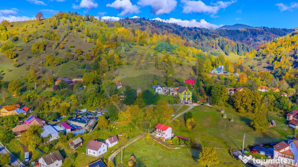 COMISION 0% Teren 1,564mp Moieciu de Jos/ Intravilan 