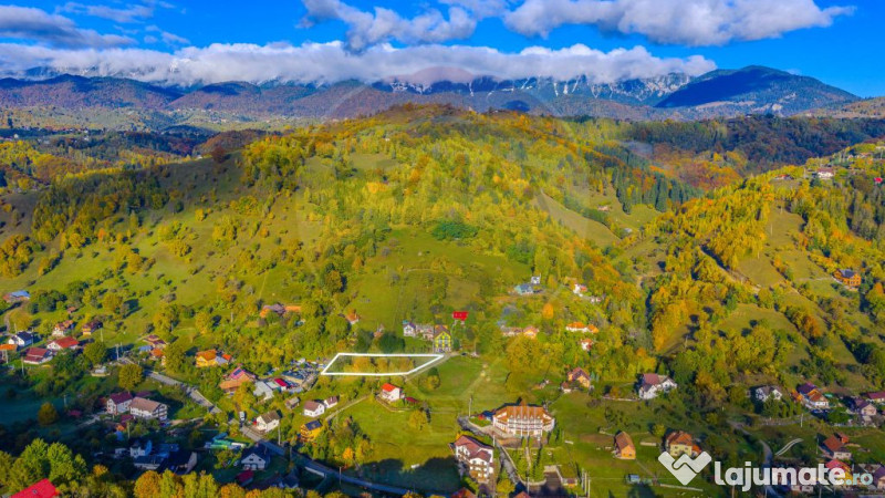 COMISION 0% Teren 1,564mp Moieciu de Jos/ Intravilan 