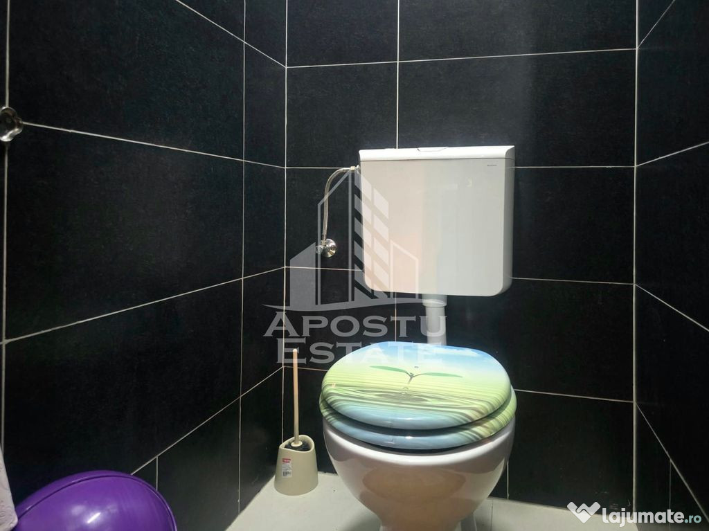 Vilă, de vanzare, la intrare in Macea, ZERO comision 