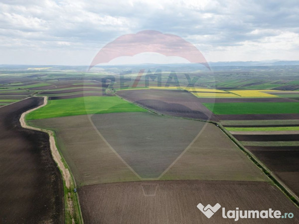 Teren 86,000mp Suceava / DN 17