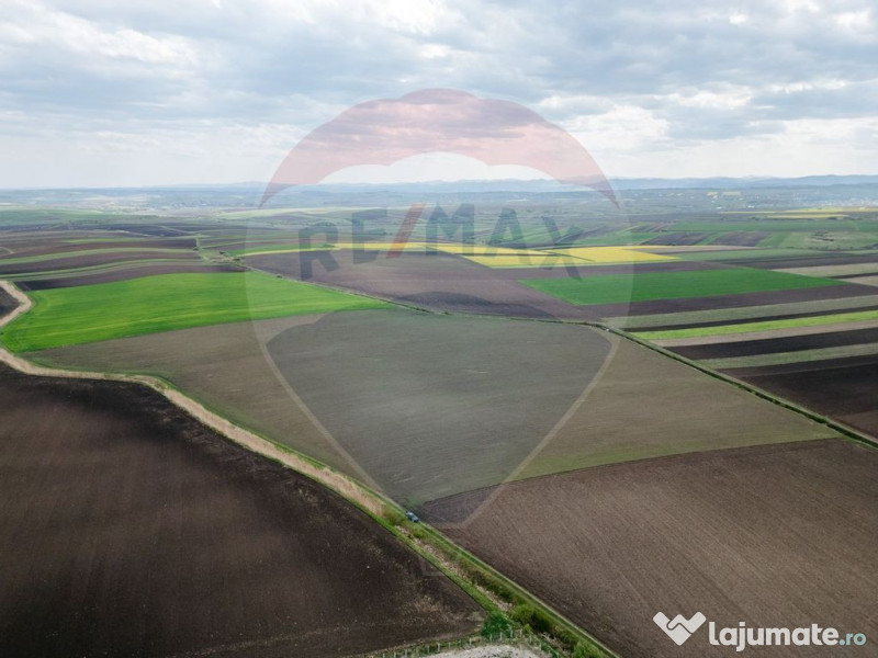 Teren 86,000mp Suceava / DN 17