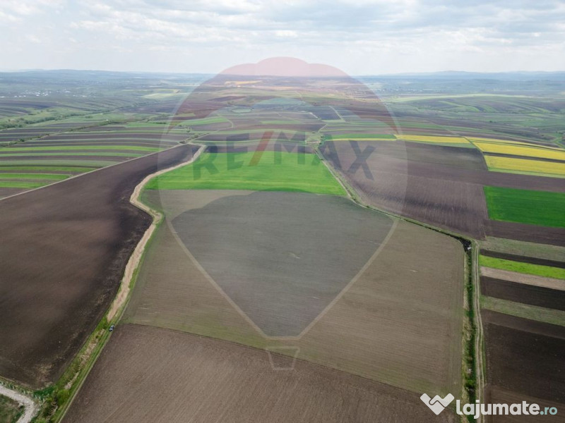 Teren 86,000mp Suceava / DN 17