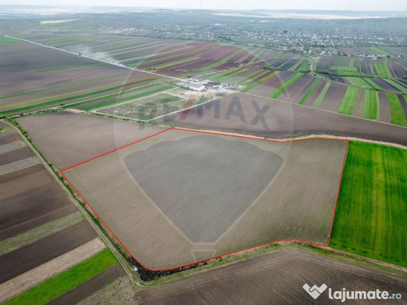 Teren 86,000mp Suceava / DN 17