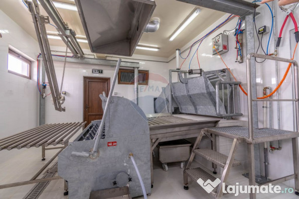 Ferma moderna de porci de vanzare in Curtuiusu Dejului