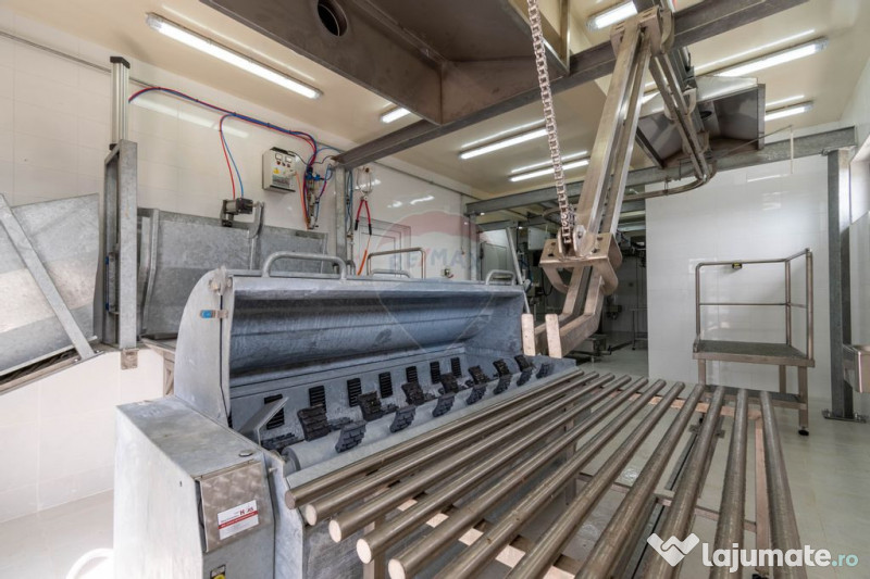 Ferma moderna de porci de vanzare in Curtuiusu Dejului