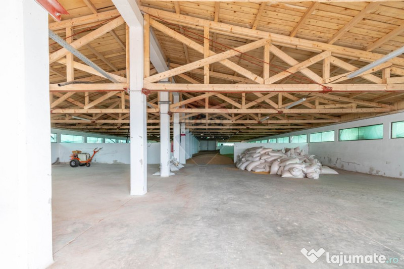 Ferma moderna de porci de vanzare in Curtuiusu Dejului